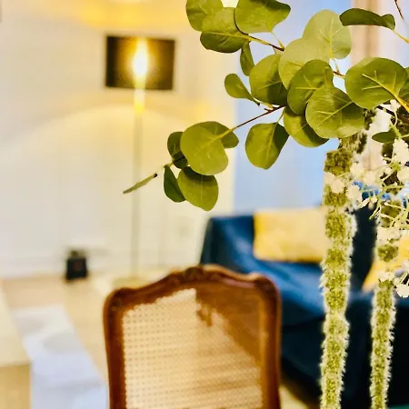 Chez - Le Confort Aux Portes De Strasbourg * Illkirch-Graffenstaden